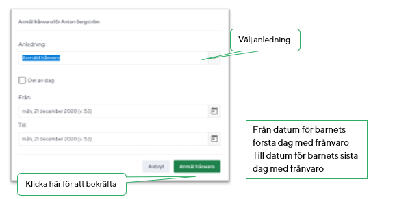 imagethvxl.png