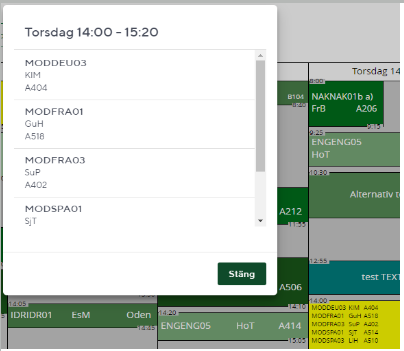 Opened window showing information about all lessons belonging to the same lesson block