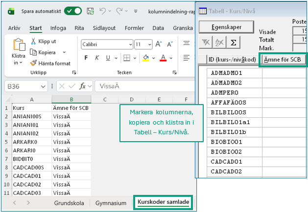 Excelunderlagets tredje flik med kurs- och niv&aring;skoder och motsvarande SCB-&auml;mnen.